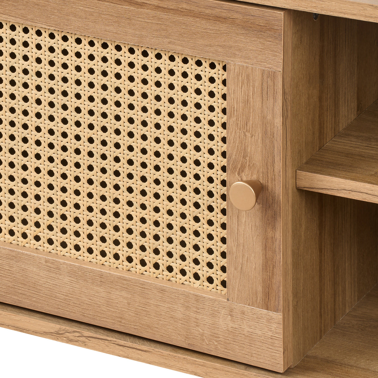 Manila Rattan 1 Door Small TV Stand Unit