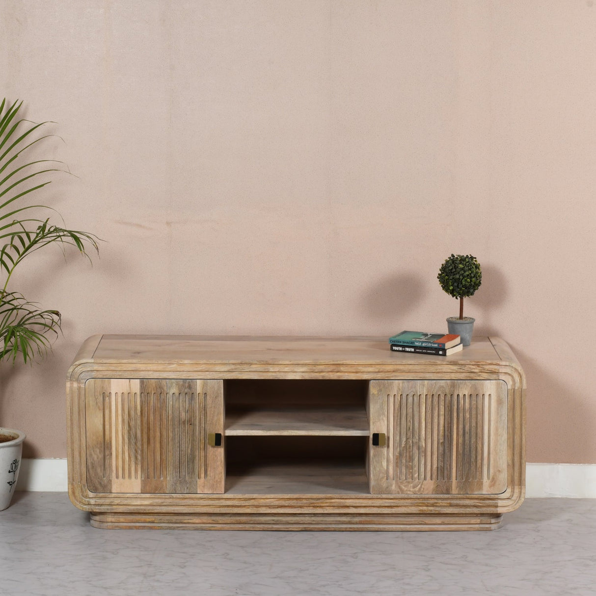 Hudson Carved Mango Wood 2 Door TV Unit - Indian Hub