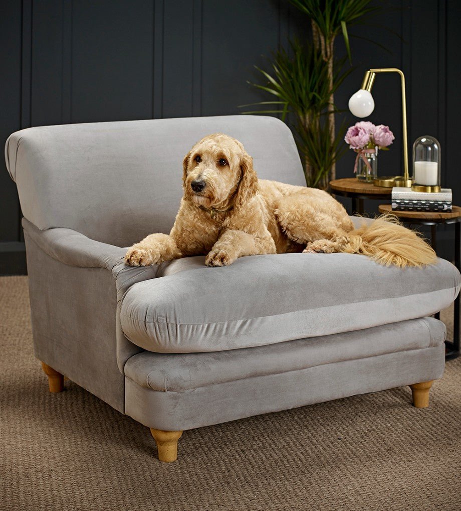 Plumpton Chair - LPD