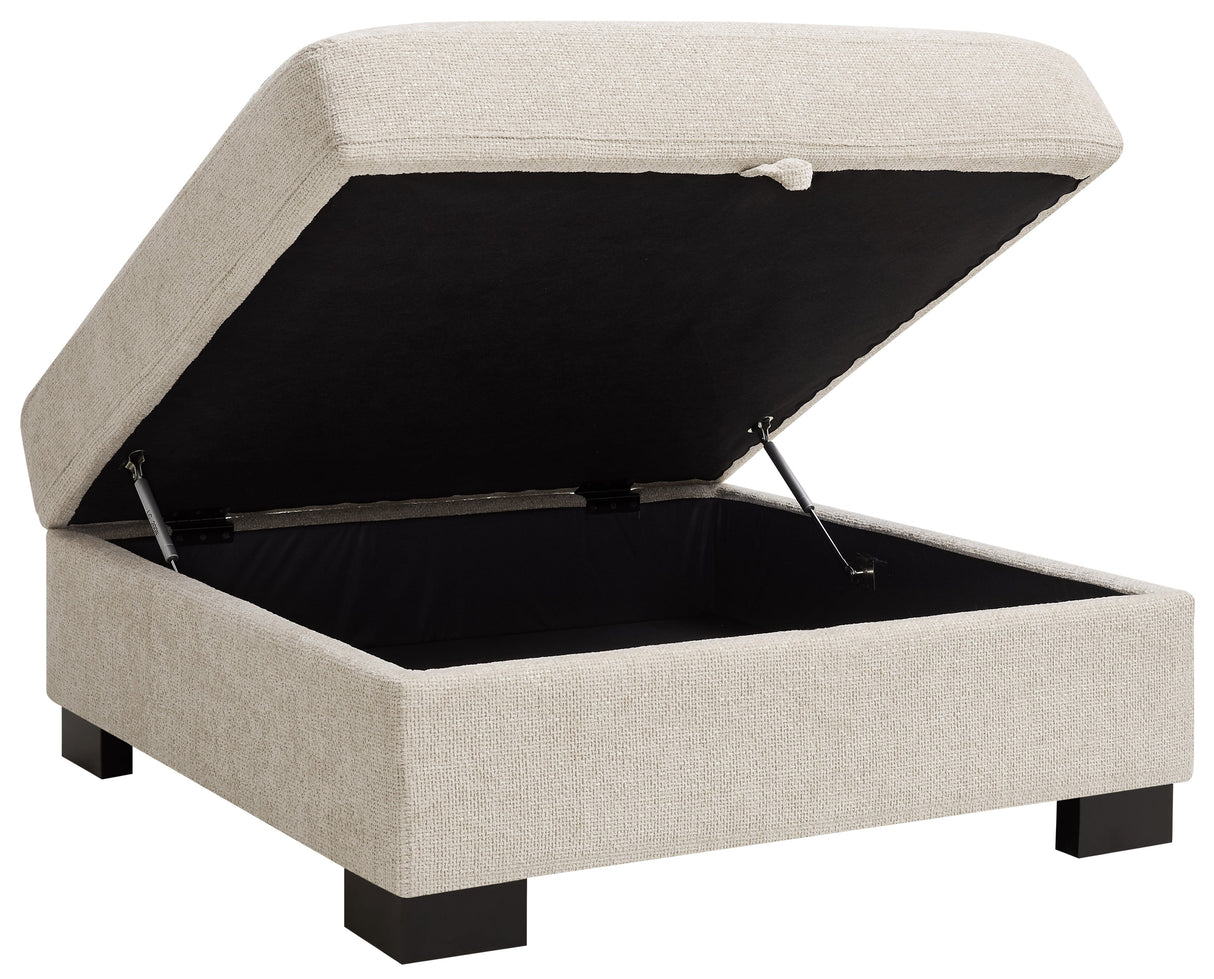 Tracey Ottoman Storage Footstool - TGC