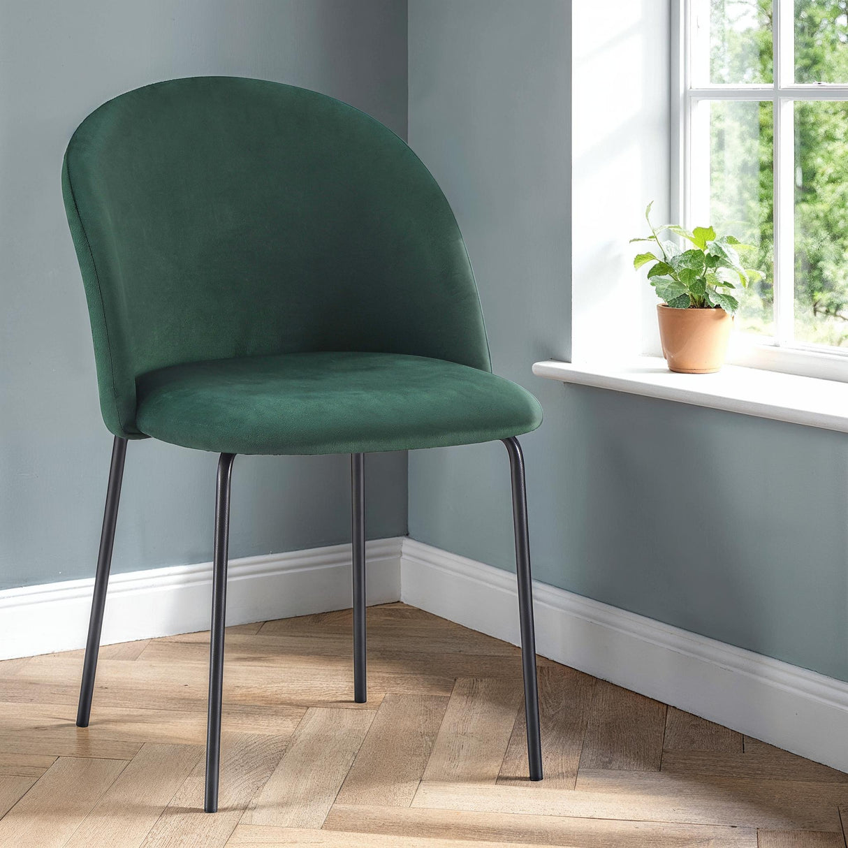 4 Boston Chairs - Seconique