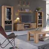 Rapallo Chestnut and Grey Large TV Cabinet with 2 Doors