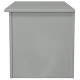 Avon Blanket Storage Box