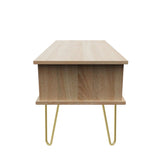 Linear 1 Drawer 1 Shelf Coffee Table with Gold Hairpin Legs