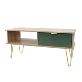 Linear 1 Drawer 1 Shelf Coffee Table with Gold Hairpin Legs