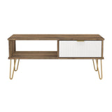 Linear 1 Drawer 1 Shelf Coffee Table with Gold Hairpin Legs