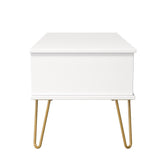Linear 1 Drawer 1 Shelf Coffee Table with Gold Hairpin Legs