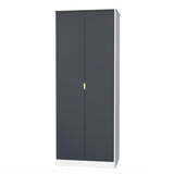 Linear 2 Door Wardrobe