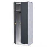 Linear 2 Door Wardrobe