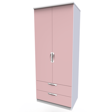Camden 2 Door 2 Drawer Wardrobe - Welcome Furniture