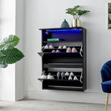 Galicia Wall Mounted Two Tier Shoe Cabinet with LED Lights - GFW