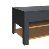 Leon Coffee Table with LED Lighting - GFW