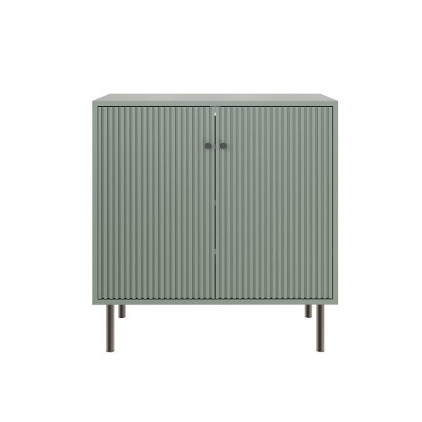 Garrucha Sage Green 2 Door Shoe Cabinet