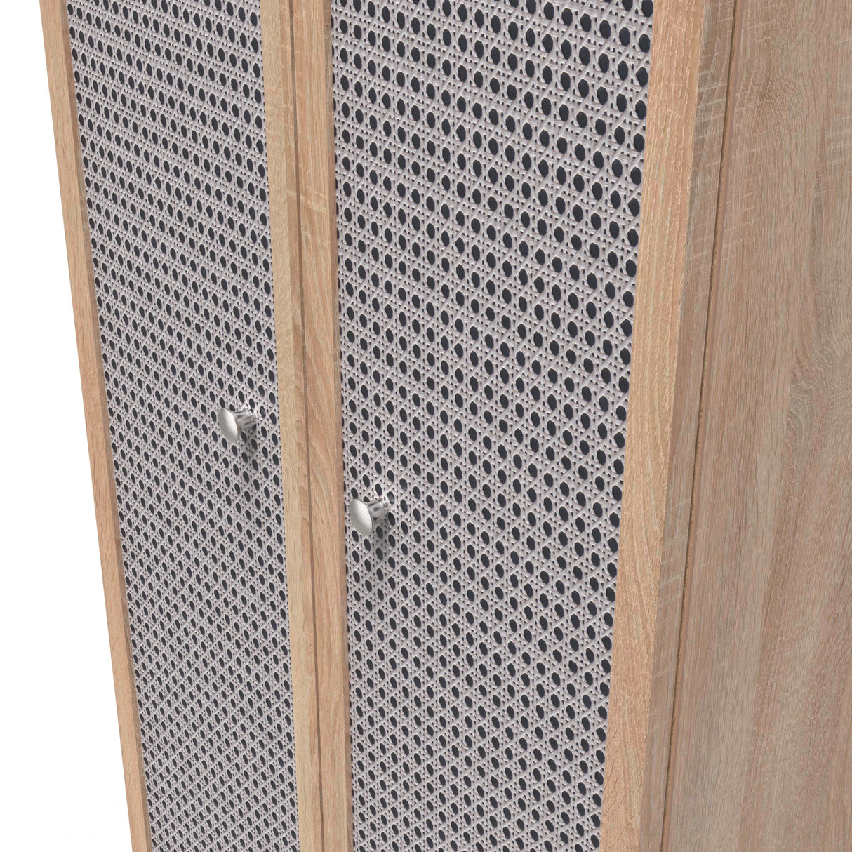 Rattan 2 Door Wardrobe - Welcome Furniture