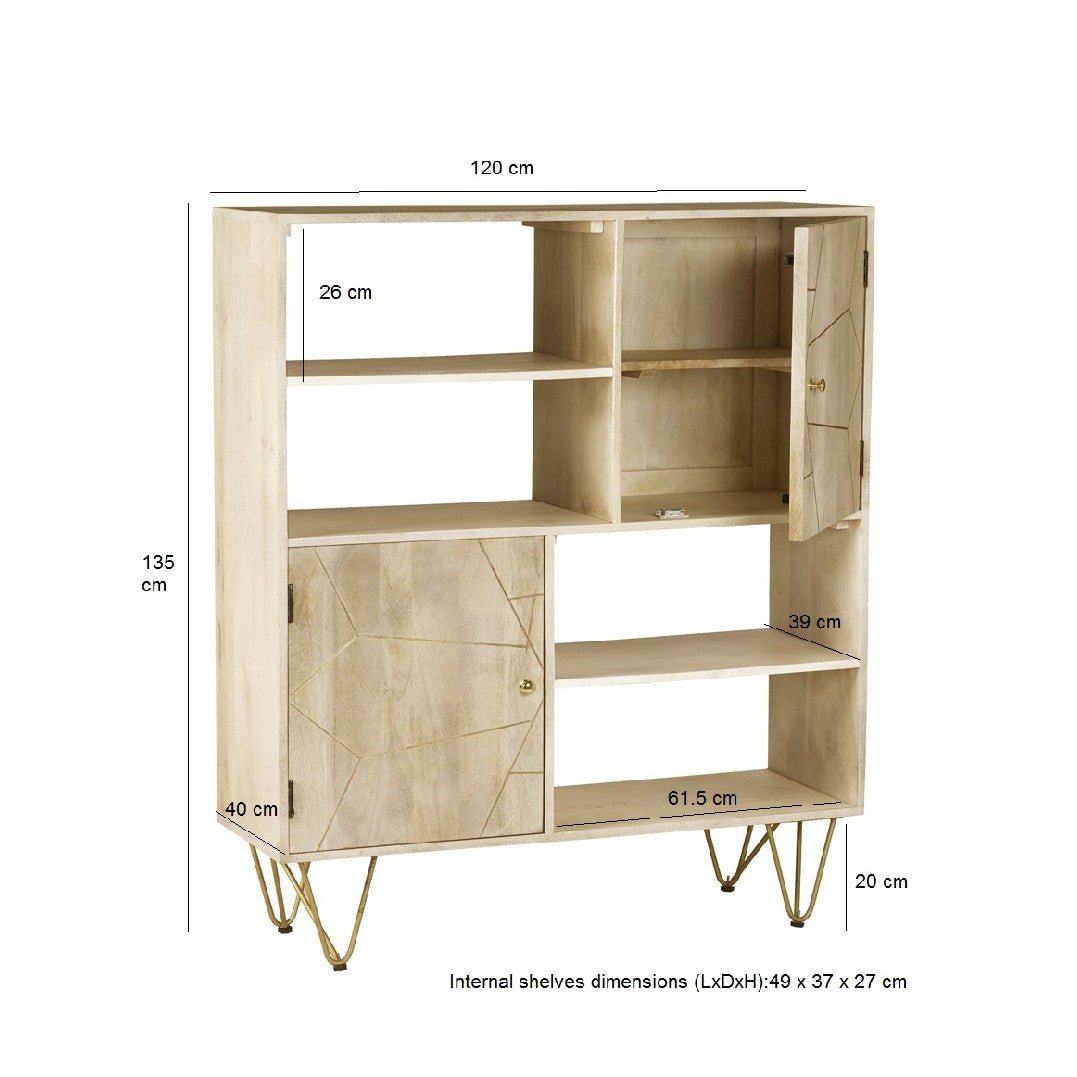 Reclaimed Wood 2 Door Display Cabinet - Indian Hub