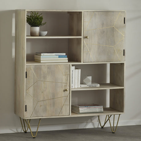 Reclaimed Wood 2 Door Display Cabinet - Indian Hub