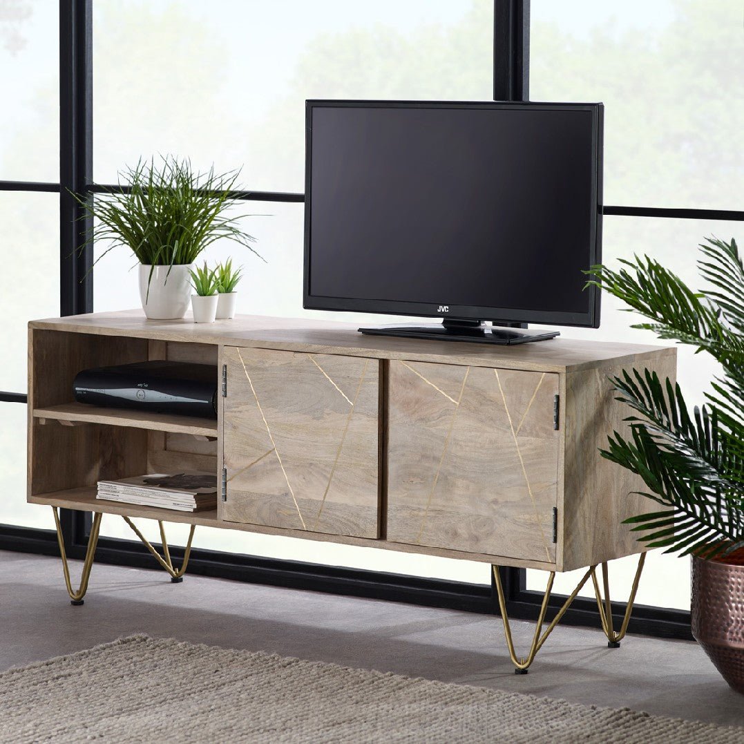 Reclaimed Wood 2 Door TV Unit - Indian Hub