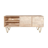 Reclaimed Wood 2 Door TV Unit - Indian Hub