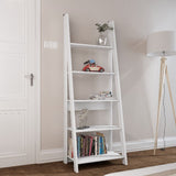 Tiva Ladder Bookcase - LPD